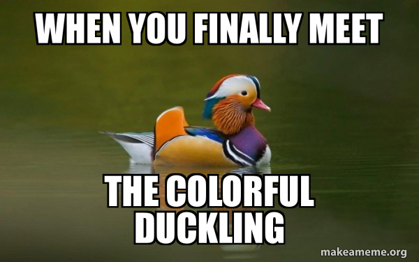 Fashionable Advice Mallard meme