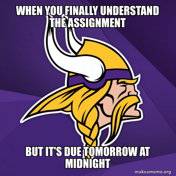 Minnesota Vikings meme