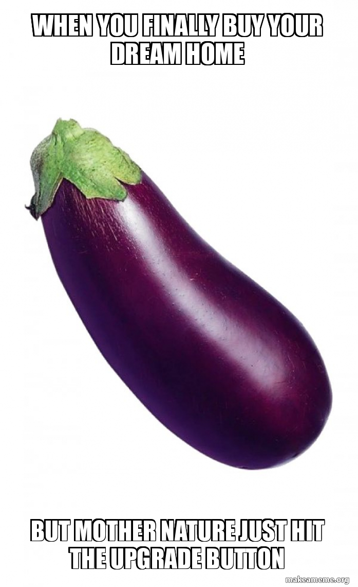 When you finally buy your dream home But Mother Nature just hit the upgrade  button - Eggplant Meme Generator