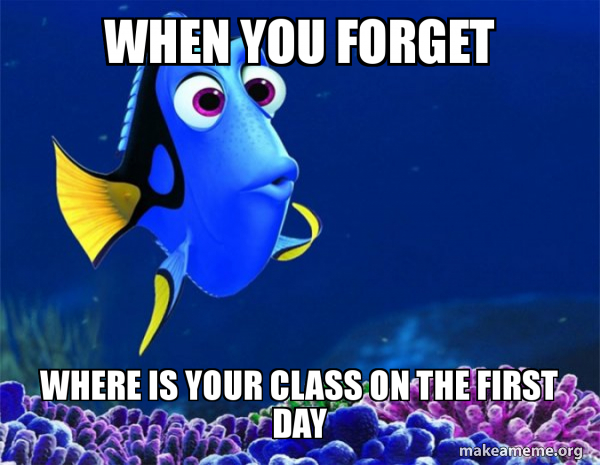 Dory from Nemo  (5 second memory) meme