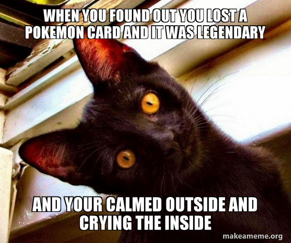 Overly Attached Cat meme