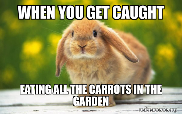 Regretful Rabbit meme