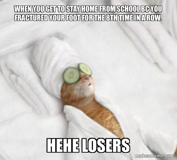 Pampered Cat Meme meme