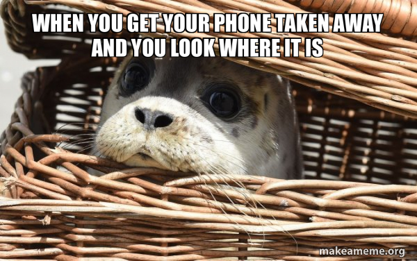 Impending Doom Seal meme