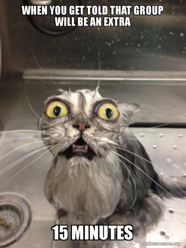 Cat bath meme