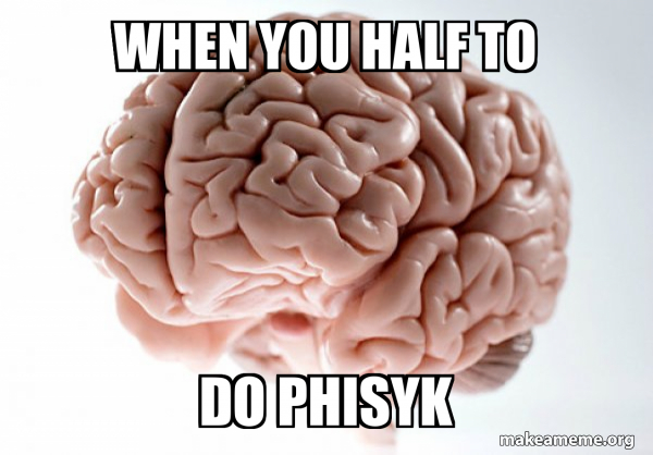 Scumbag Brain meme