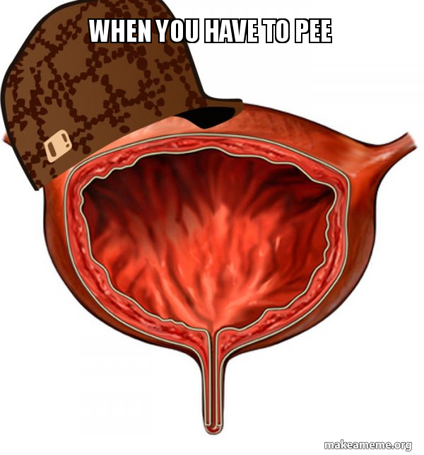 Scumbag Bladder meme