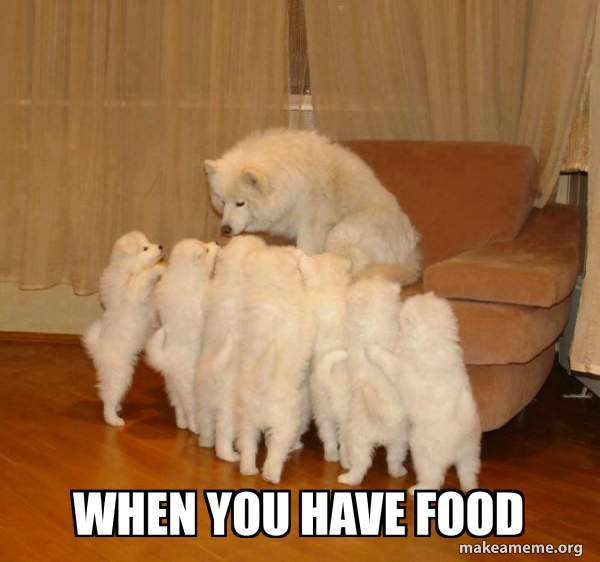 Storytelling Dog meme