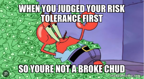 Single Risk Meme when you judged your risk tolerance first so youre not a broke chud ...