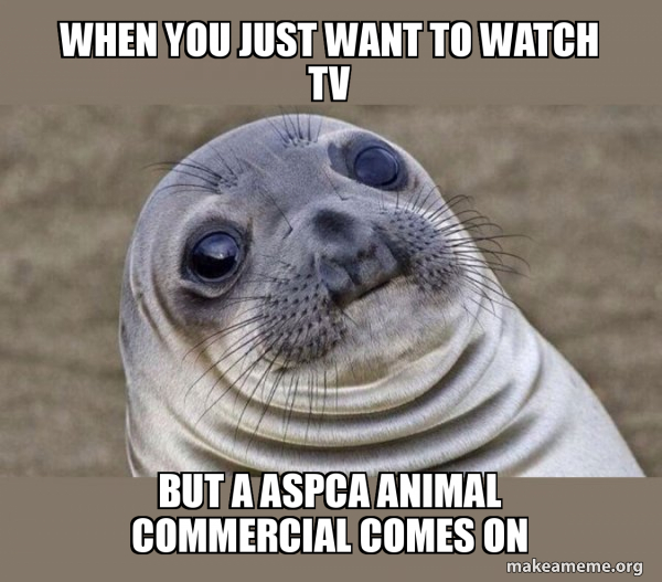 When You Just Want To Watch Tv But A Aspca Animal Commercial Comes On Squeamish Seal Make A Meme
