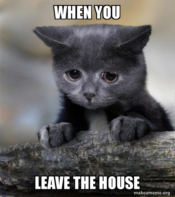 Confession Cat meme