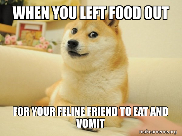 Doge meme