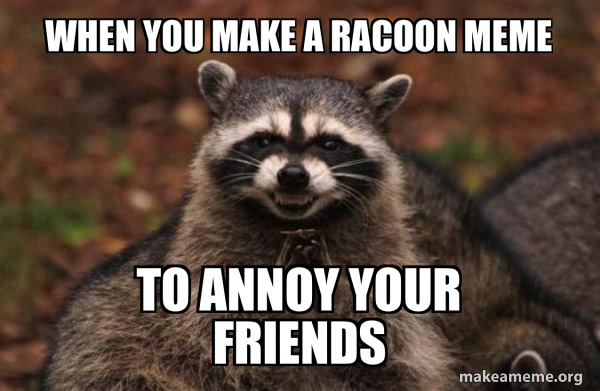 When You Make A Racoon Meme To Annoy Your Friends - Evil Plotting ...