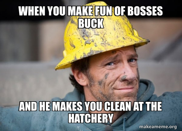 A Dirty Job meme