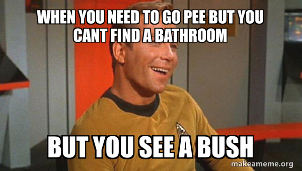 Ridiculously Photogenic Starship Captain meme