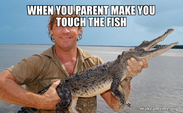 Steve irwin meme