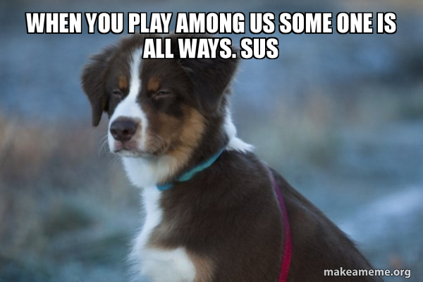 Unsure Dog meme