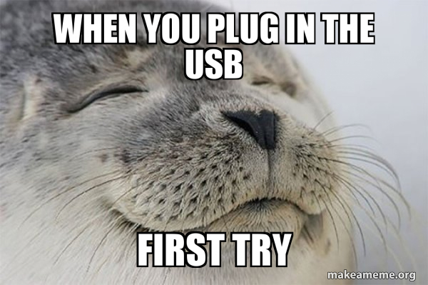 Usb Plug Memes When You Plug In The Usb First Try Satisfied Seal