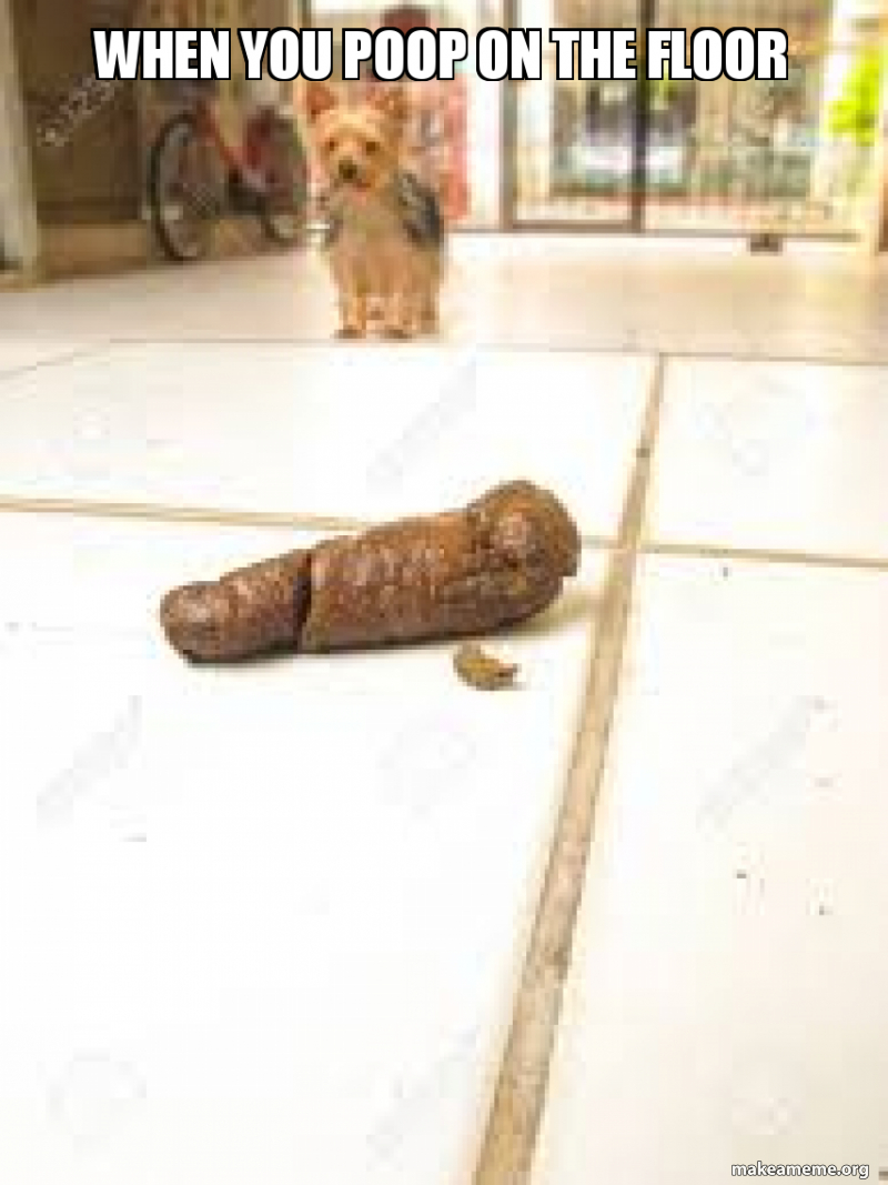 When You Poop On The Floor Make A Meme