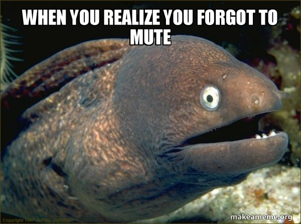 Bad Joke Eel meme