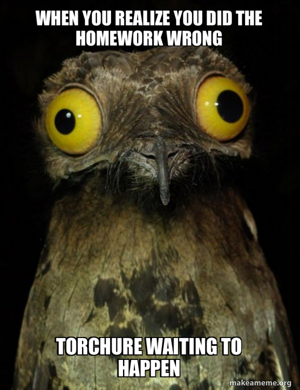 Weird Stuff I do Potoo meme