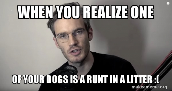 Pewdiepie meme
