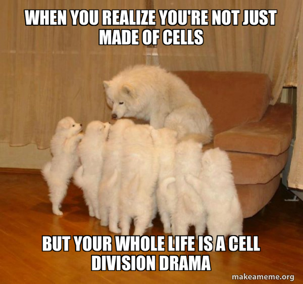 Storytelling Dog meme