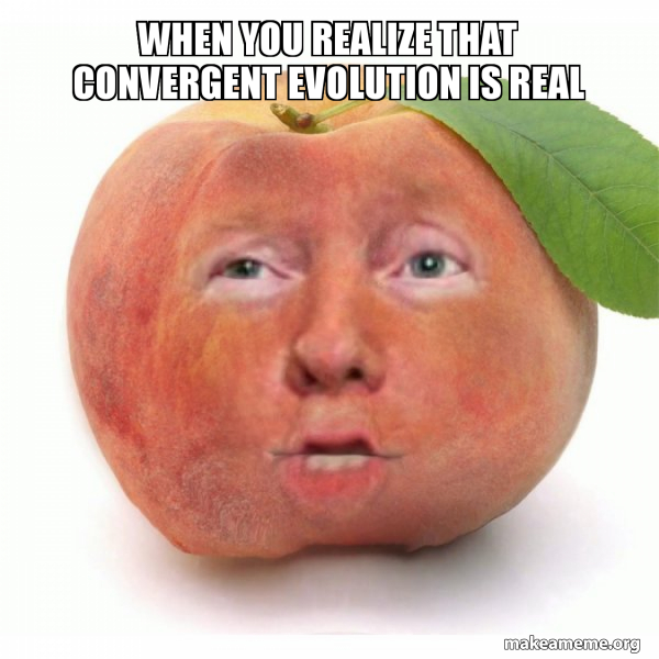 Impeached Donald Trump meme