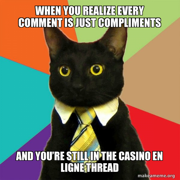 Business Cat meme