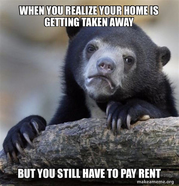 Confession Bear meme