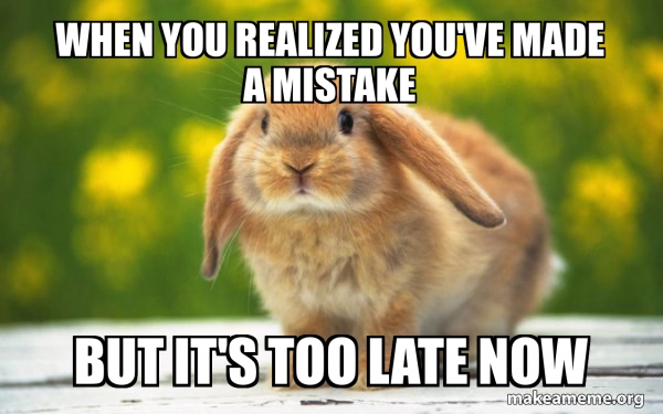 Regretful Rabbit meme