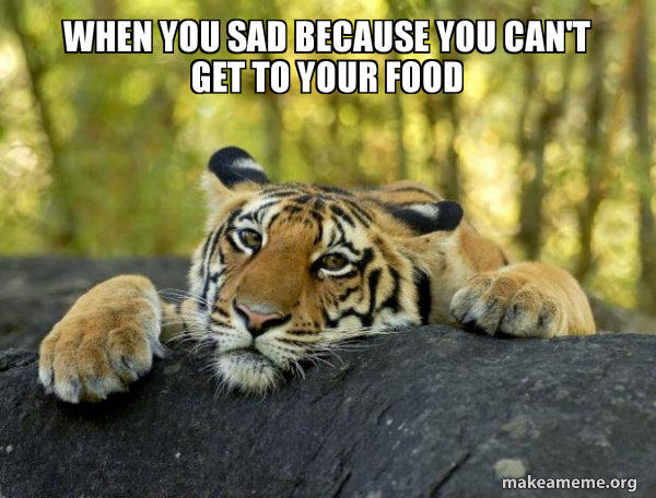 Confession Tiger meme