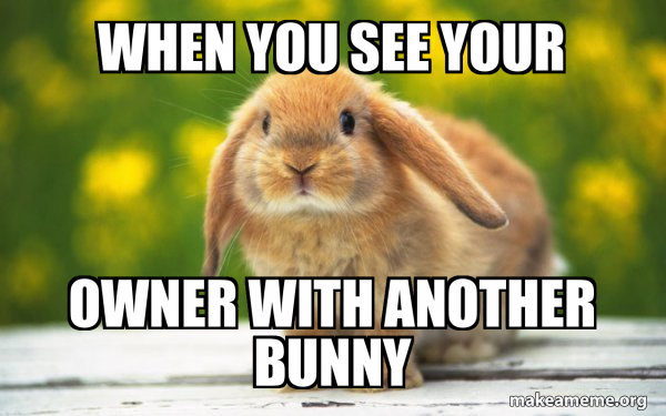 Regretful Rabbit meme