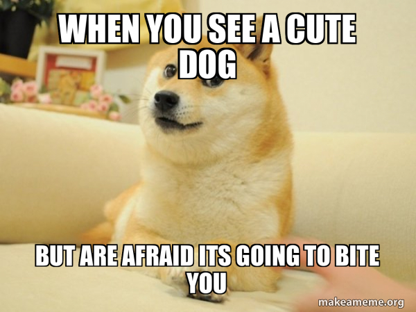 Doge meme