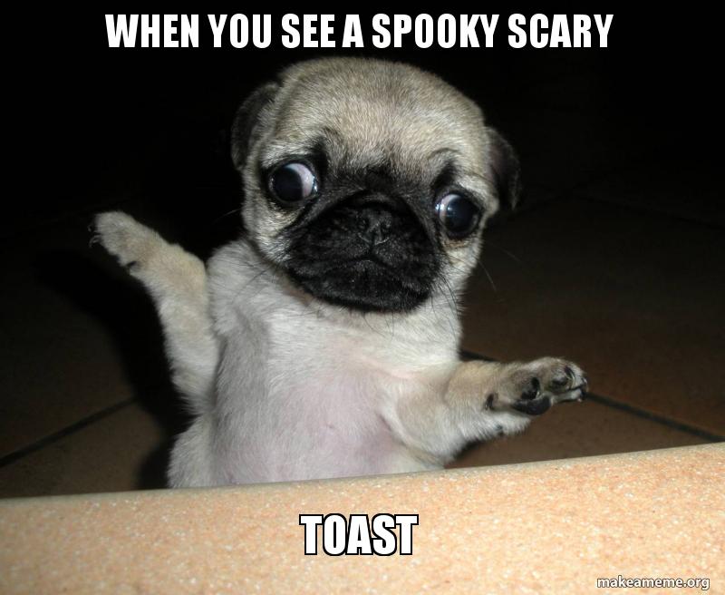 When You See A Spooky Scary Toast Derpy Pug Make A Meme