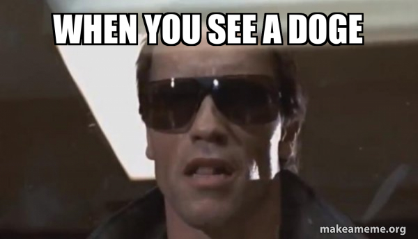 The Terminator meme