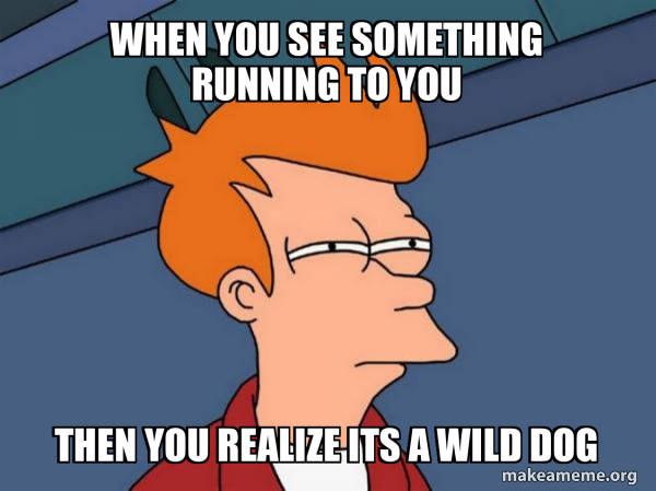 Futurama Fry meme