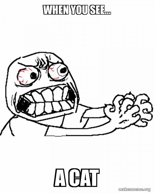 when you see... A CAT - Angry Meme Generator