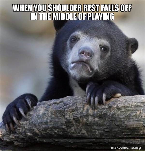 Confession Bear meme