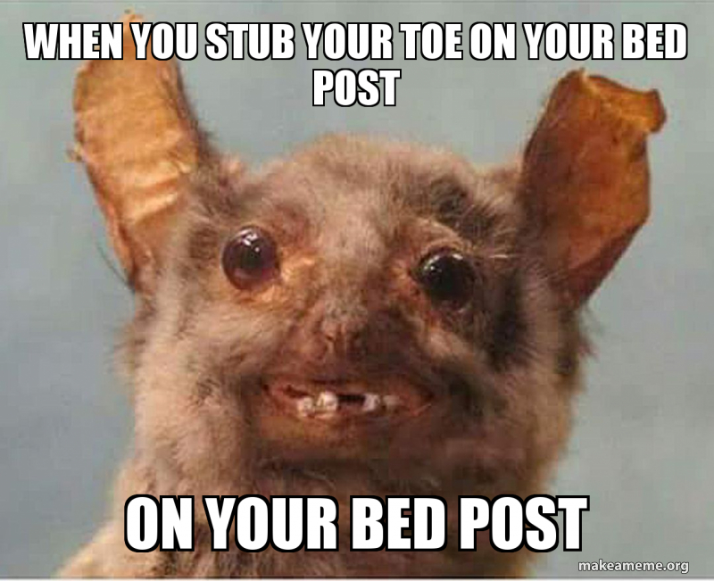 When You Stub Your Toe Meme