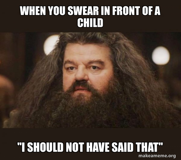 Hagrid - I should not have said that meme