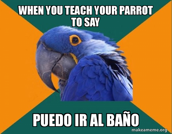 Paranoid Parrot meme