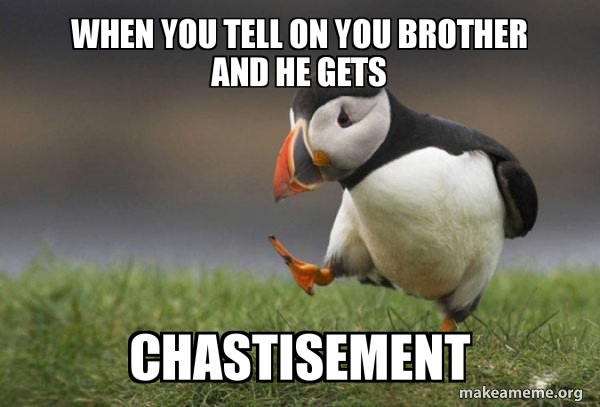 Unpopular Opinion Puffin meme