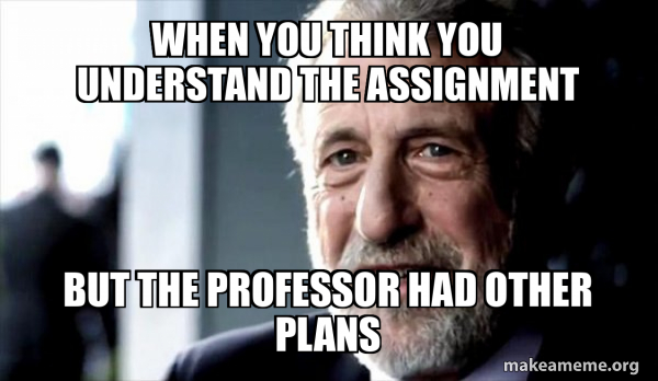 When you think you understand the assignment But the professor had ...