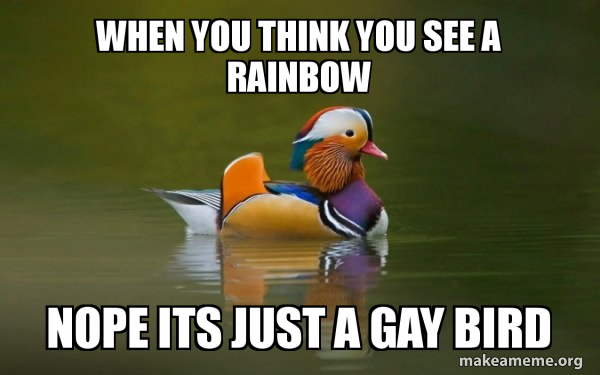 Fashionable Advice Mallard meme