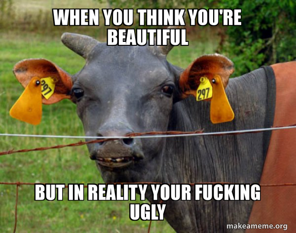 Hairless Cow meme