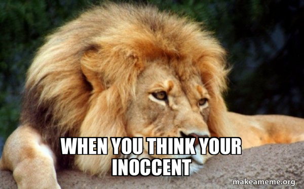 Confession Lion meme