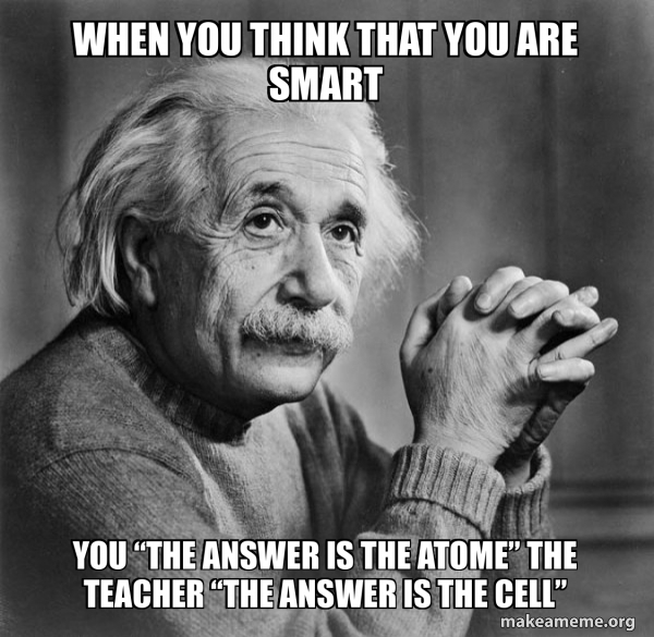 Serious Albert Einstein meme