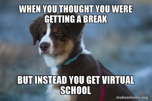 Unsure Dog meme