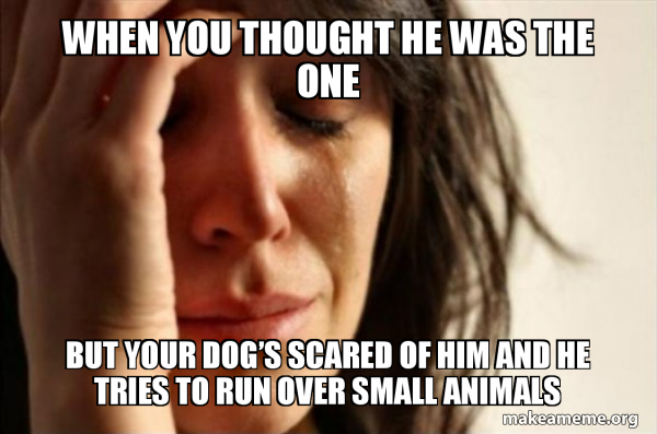 When You Thought He Was The One But Your Doga S Scared Of Him And He Tries To Run Over Small Animals First World Problems Make A Meme